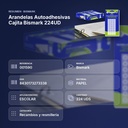ARANDELAS AUTOADHESIVAS CAJITA BISMARK 224UD - resumen de atributos