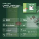 PAPEL A3 VEGETAL GUARRO CANSON 250 HOJAS 90G - resumen de atributos