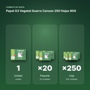 PAPEL A3 VEGETAL GUARRO CANSON 250 HOJAS 90G - formato de venta: paquete de 20, caja de 250