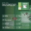 PAPEL A4 VEGETAL GUARRO CANSON 250 HOJAS 95G - resumen de atributos