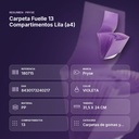 CARPETA FUELLE 13 COMPARTIMENTOS LILA (A4) - resumen de atributos