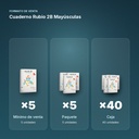CUADERNO RUBIO 2B MAYÚSCULAS - formato de venta: paquete de 5, caja de 40
