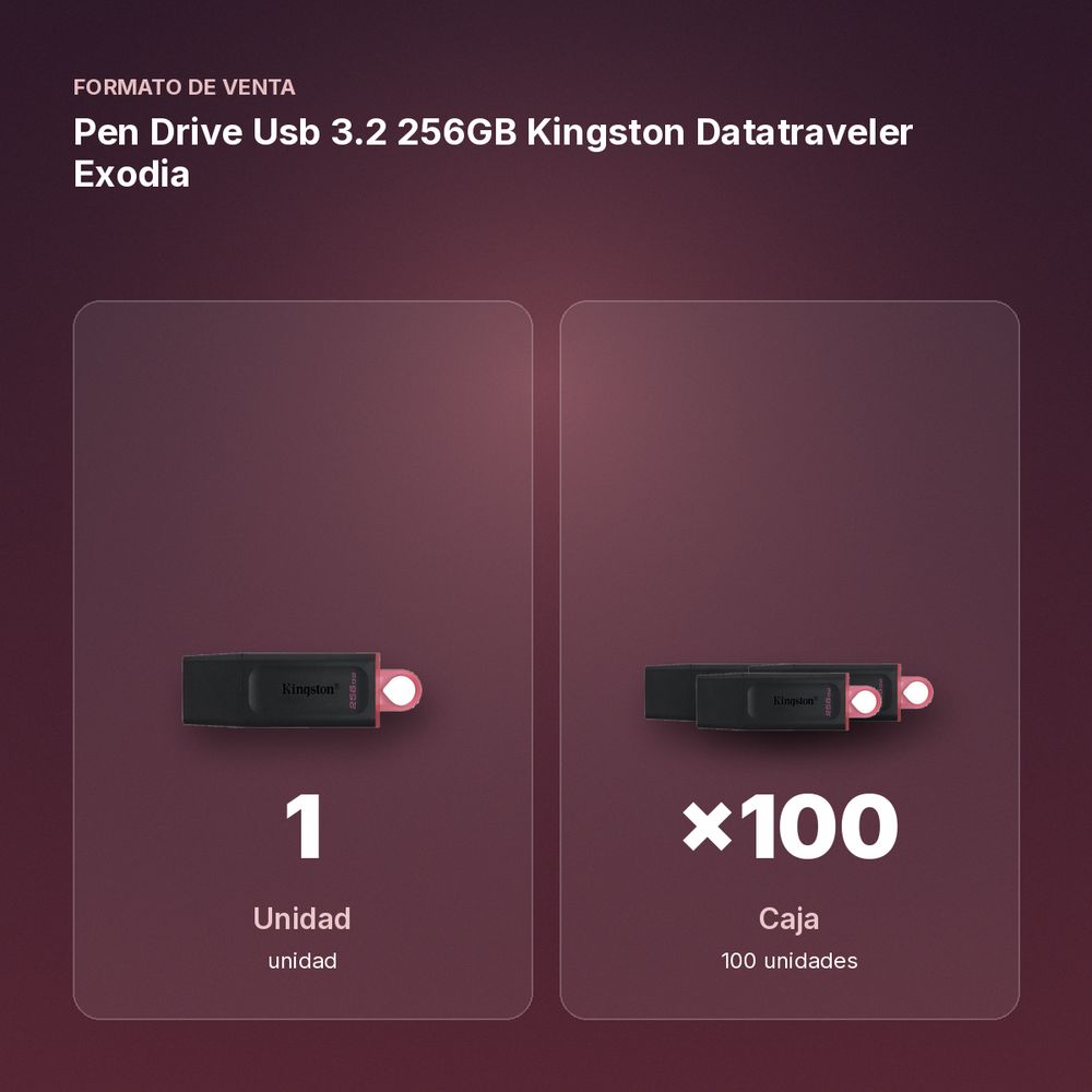 PEN DRIVE USB 3.2 256GB KINGSTON DATATRAVELER EXODIA - formato de venta: caja de 100