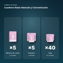 CUADERNO RUBIO ATENCIÓN Y CONCENTRACIÓN - formato de venta: paquete de 5, caja de 40
