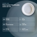 PLATO CARTON REUTILIZABLE LLANO 22 CM  - resumen de atributos