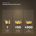 CARTULINA CANSON IRIS A3 CUERO - formato de venta: paquete de 50, caja de 500