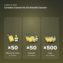 CARTULINA CANSON IRIS A3 AMARILLO CANARIO  - formato de venta: paquete de 50, caja de 500