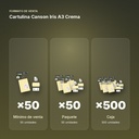 CARTULINA CANSON IRIS A3 CREMA - formato de venta: paquete de 50, caja de 500