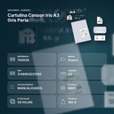 CARTULINA CANSON IRIS A3 GRIS PERLA - resumen de atributos