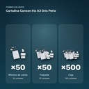 CARTULINA CANSON IRIS A3 GRIS PERLA - formato de venta: paquete de 50, caja de 500