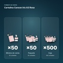 CARTULINA CANSON IRIS A3 ROSA - formato de venta: paquete de 50, caja de 500