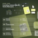 CARTULINA CANSON IRIS A3 VERDE MANZANA - resumen de atributos