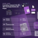 CARTULINA CANSON IRIS A3 180 GRAMOS VIOLETA 50 HOJAS - resumen de atributos