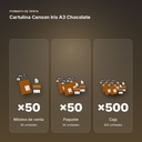 CARTULINA CANSON IRIS A3 CHOCOLATE - formato de venta: paquete de 50, caja de 500