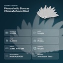 PLUMAS INDIO BLANCAS 25MMX140MM.60UD - resumen de atributos