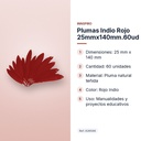 PLUMAS INDIO ROJO 25MMX140MM.60UD   - características principales