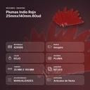 PLUMAS INDIO ROJO 25MMX140MM.60UD   - resumen de atributos