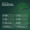 PLUMAS INDIO VERDE 25MMX140MM.60UD     - resumen de atributos