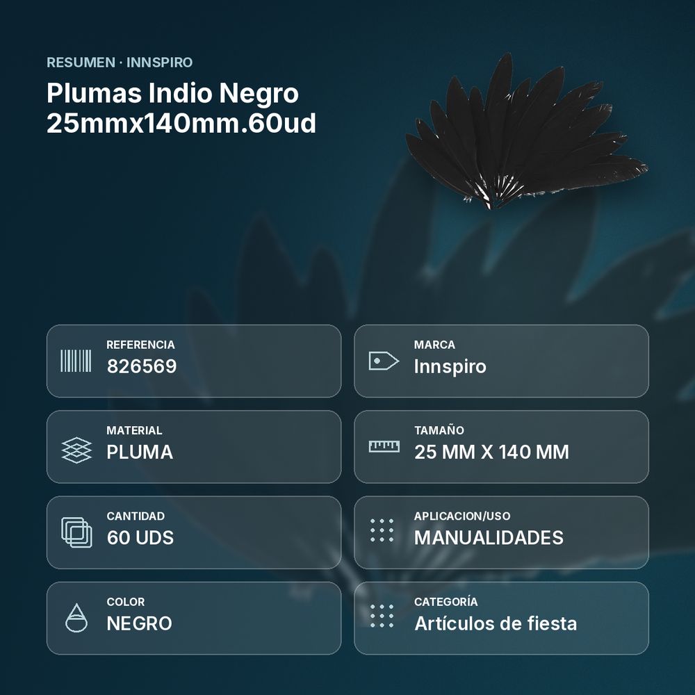 PLUMAS INDIO NEGRO 25MMX140MM.60UD      - resumen de atributos