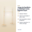 JUEGO DE EQUILIBRIO Y HABILIDAD LIMBO GIGANTE CAYRO - características principales