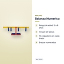 BALANZA NUMERICA - características principales