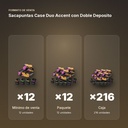 SACAPUNTAS CASE DUO ACCENT CON DOBLE DEPOSITO   - formato de venta: paquete de 12, caja de 216