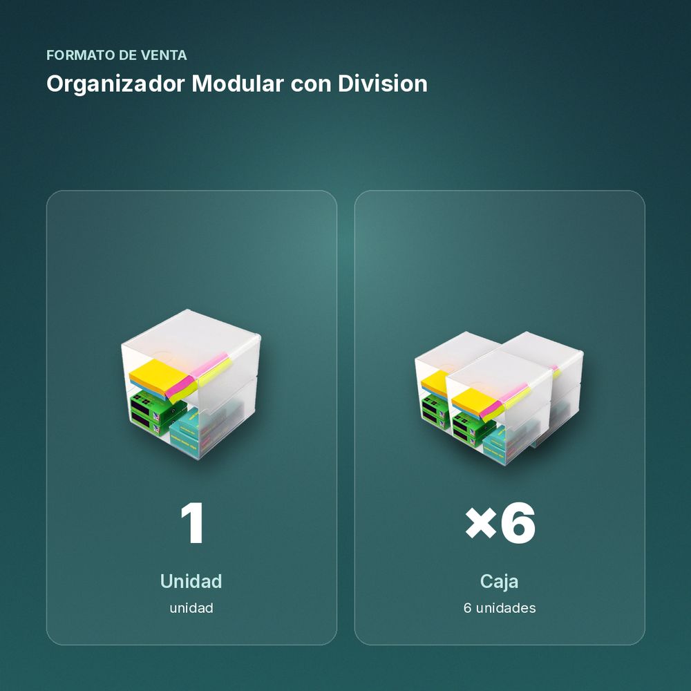 ORGANIZADOR MODULAR CON DIVISION - formato de venta: caja de 6