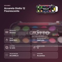 ACUARELA GIOTTO 12 FLUORESCENTE - resumen de atributos