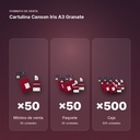 CARTULINA CANSON IRIS A3 GRANATE - formato de venta: paquete de 50, caja de 500