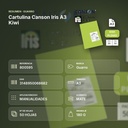 CARTULINA CANSON IRIS A3 KIWI - resumen de atributos