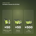 CARTULINA CANSON IRIS A3 KIWI - formato de venta: paquete de 50, caja de 500