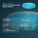 PISCINA HINCHABLE FONDO MARINO 183X33 - resumen de atributos