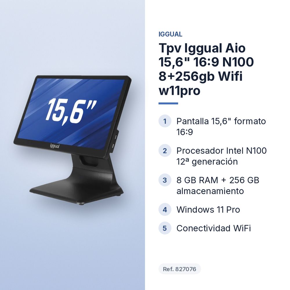 TPV IGGUAL AIO 15,6" 16:9 N100 8+256GB WIFI W11PRO - características principales