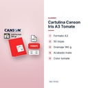 CARTULINA CANSON IRIS A3 TOMATE - características principales