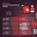 CARTULINA CANSON IRIS A3 TOMATE - resumen de atributos