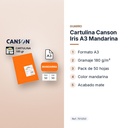CARTULINA CANSON IRIS A3 MANDARINA - características principales