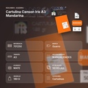 CARTULINA CANSON IRIS A3 MANDARINA - resumen de atributos