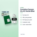 CARTULINA CANSON IRIS A3 VERDE BILLAR - características principales