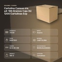CARTULINA CANSON IRIS A4-185 GRAMOS CAJA (B) 1200 CARTULINAS EXP - resumen de atributos