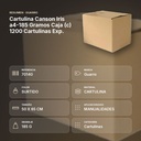 CARTULINA CANSON IRIS A4-185 GRAMOS CAJA (C) 1200 CARTULINAS EXP.     - resumen de atributos