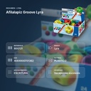 AFILALAPIZ GROOVE LYRA - resumen de atributos