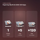 PAPEL DCP MARFIL A3 250G 125 HOJAS  - formato de venta: caja de 5, palé de 120