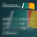 CARPETA ANILLAS PP-A4 4X25MMTRANSP.MULTICOLOR - resumen de atributos