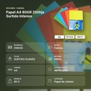 PAPEL A4 80GR 250HJS SURTIDO INTENSO  - resumen de atributos