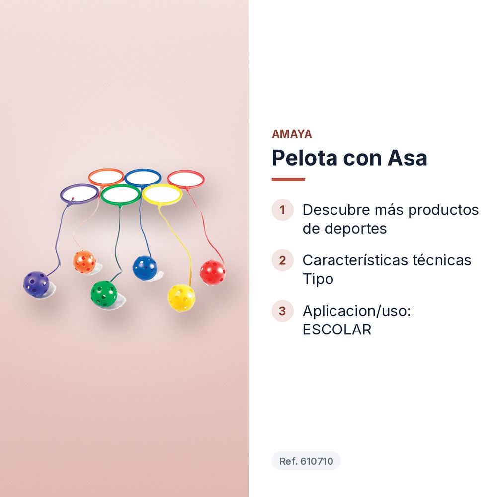 PELOTA CON ASA  - características principales