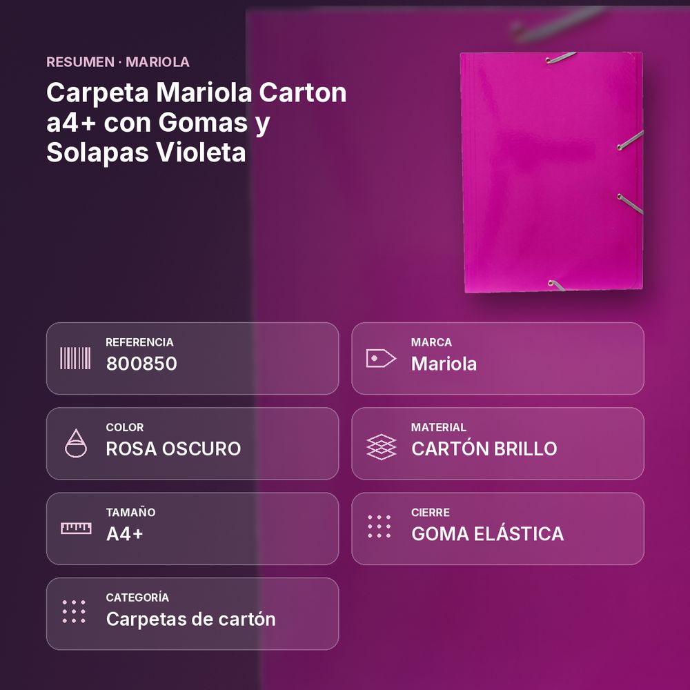 CARPETA MARIOLA CARTON A4+ CON GOMAS Y SOLAPAS VIOLETA - resumen de atributos
