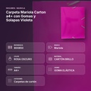CARPETA MARIOLA CARTON A4+ CON GOMAS Y SOLAPAS VIOLETA - resumen de atributos