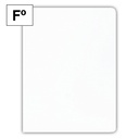 SUBCARPETAS FOLIO DE CARTULINA 180GR BLANCO RAYLU 