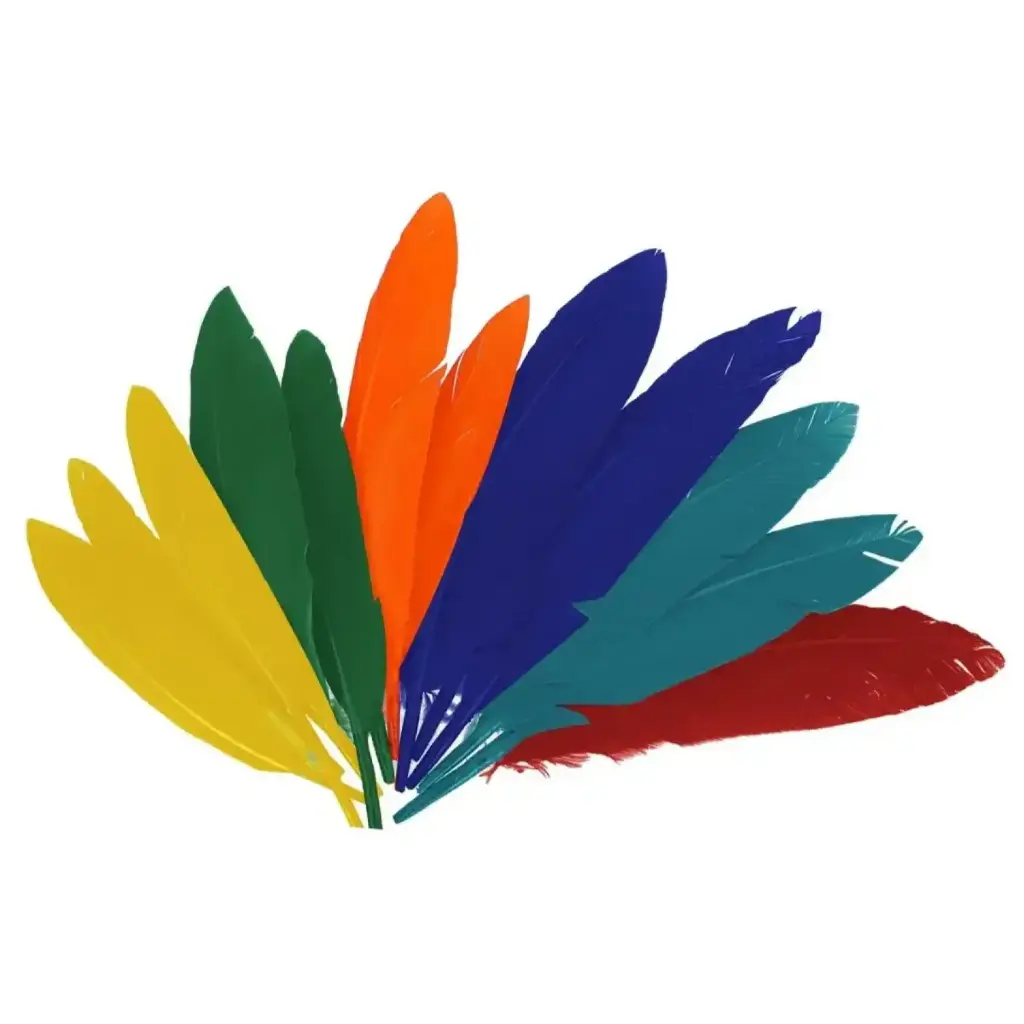 PLUMAS INDIO SURTIDAS 25MMX140MM 60 UDS