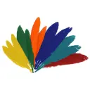 PLUMAS INDIO SURTIDAS 25MMX140MM 60 UDS